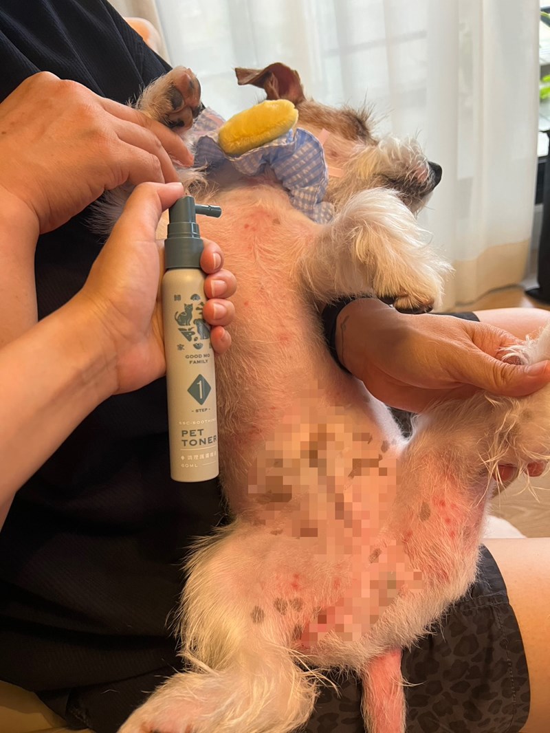 女人知己試用大隊,口碑行銷,部落客行銷,Goodmofamily歸毛家族 寵物肌膚救星組,歸毛家族 寵物肌膚救星,舒敏保濕洗毛乳,護膚噴液,精萃營養霜,博士30年生技專業,給足皮膚營養保護力,無抗生素 無類固醇,神經醯胺,19種綜合胺基酸,榮獲SNQ國家認證,上萬毛爸媽見證,3週幫助皮膚健康,NO.1寵物肌膚口碑霸主,寵物第一護膚領導品牌